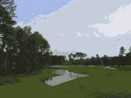 И шаг. Определение внешнего вида фотографии