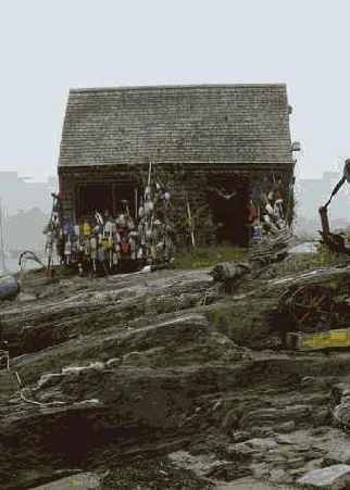 Й шаг. Фотографирование с использованием