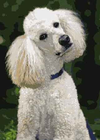 Й шаг. Выбор места съемки