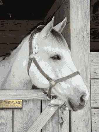 Й шаг. Выбор места съемки
