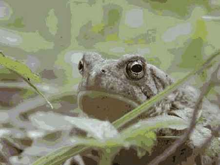 Й шаг. Знакомство с объектом съемки