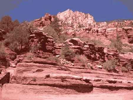 Й шаг. Принятие решения о применении поляризатора