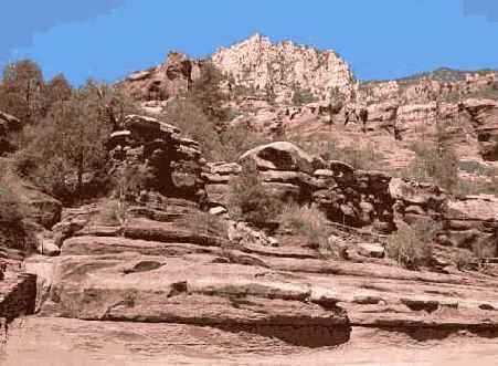 Й шаг. Принятие решения о применении поляризатора