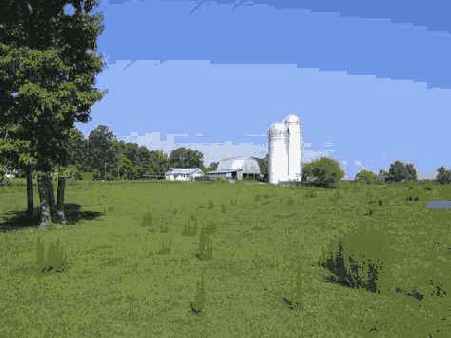 Й шаг. Съемка с минимальным фокусным расстоянием (широкоугольный режим)