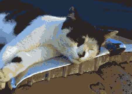 Й шаг. Выбор фокусного расстояния