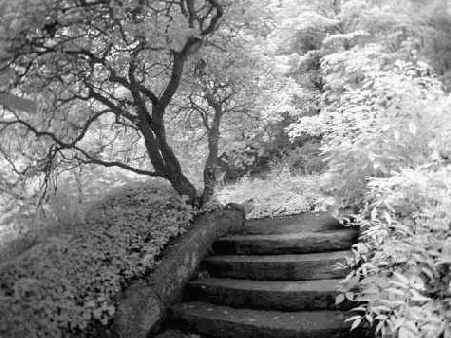 Й шаг. Выбор подходящей сцены для съемки