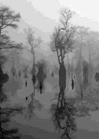 Е заблуждение. Некоторые типы освещения всегда нежелательны