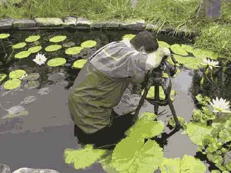 в наиболее подходящем для съемки