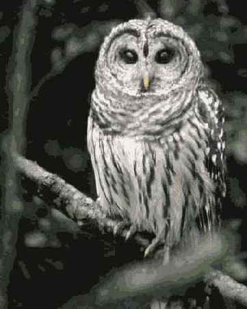 Й шаг. Изучение результатов и изменение параметров фотоаппарата (при необходимости)