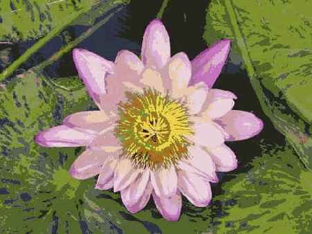 Й шаг. Изучение результатов и повторная съемка