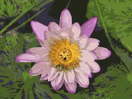 Й шаг. Изучение результатов и повторная съемка