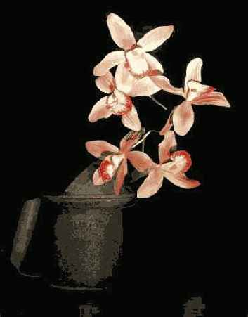 Й шаг. Просмотр результатов и повторная съемка