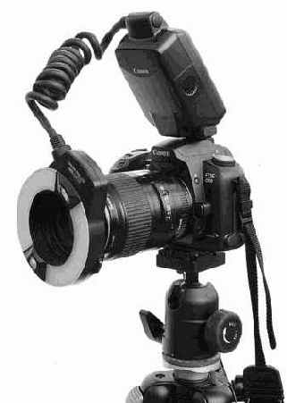 Что такое кольцевая вспышка для макросъемки