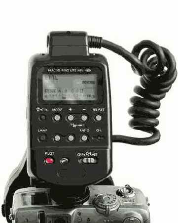 Что такое кольцевая вспышка для макросъемки