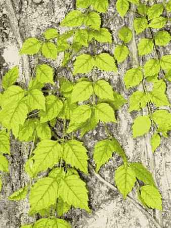 Характеристики встроенной вспышки