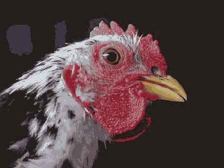 Прием 10. Получение четких фотографий