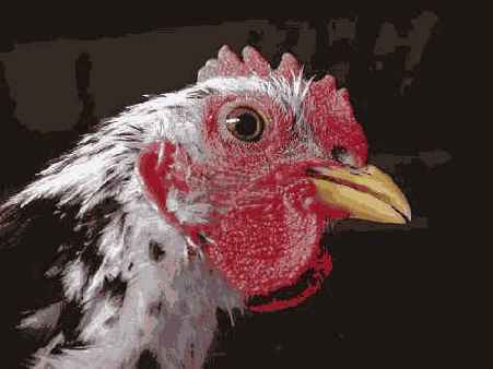 Прием 10. Получение четких фотографий