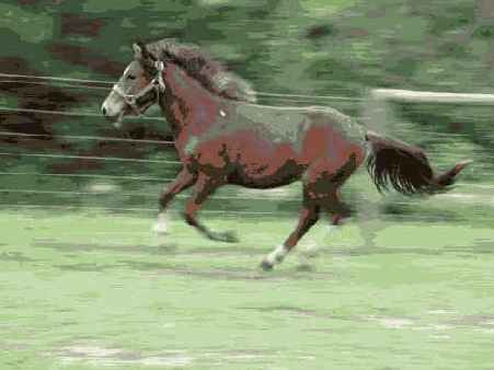 Прием 10. Получение четких фотографий