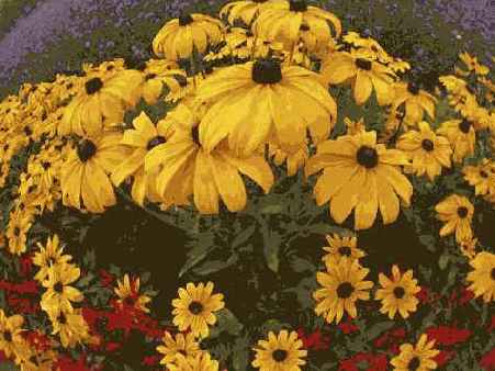 Прием 18. Выбор сменных объективов