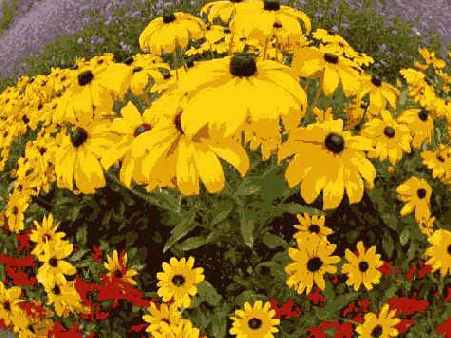 Прием 18. Выбор сменных объективов