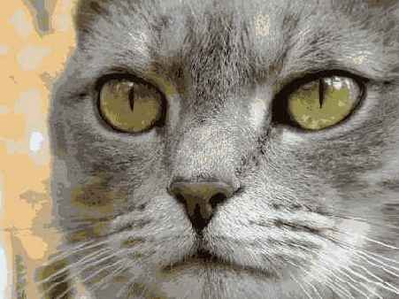 Прием 28. Фотографирование домашних животных