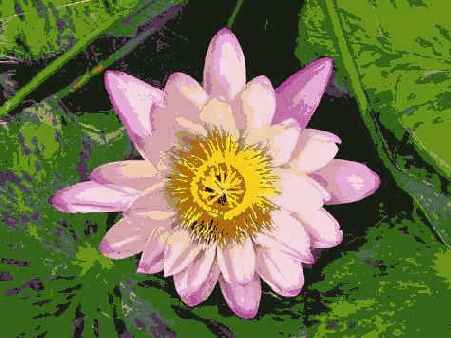 Прием 30. Съемка цветов с близкого расстояния