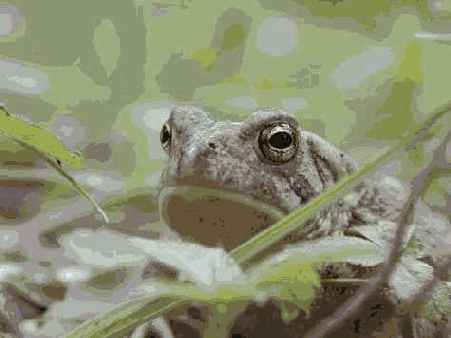 Прием 31. Макросъемка