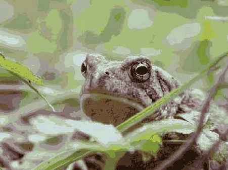 Прием 31. Макросъемка