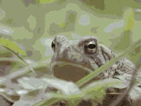 Прием 31. Макросъемка