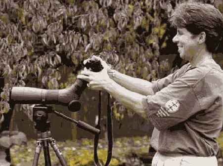 Прием 32. Фотографирование птиц с использованием телескопа