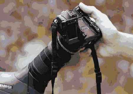 Прием 32. Фотографирование птиц с использованием телескопа