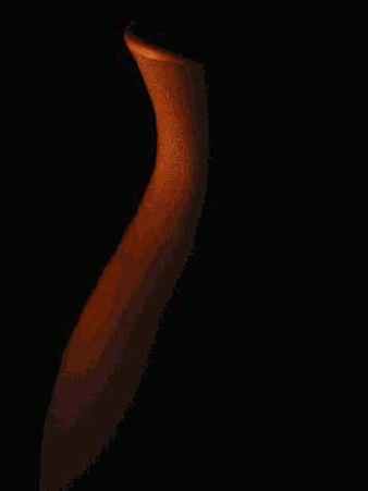 Прием 42. Съемка при использовании света от свечи