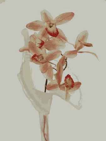 Прием 45. Создание фотографий