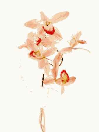 Прием 45. Создание фотографий