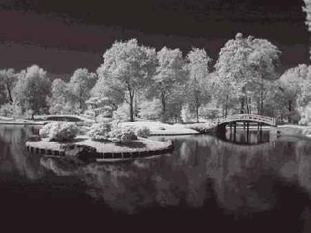 Прием 46. Цифровая съемка в инфракрасных лучах