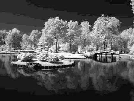 Прием 46. Цифровая съемка в инфракрасных лучах