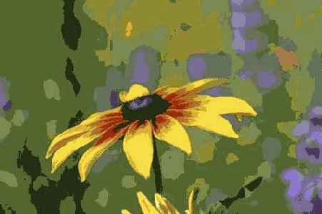 Прием 49. Отделение цветка от фона