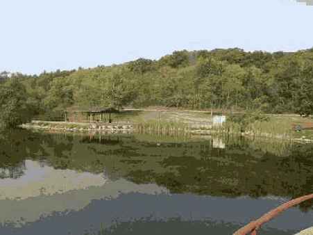 Благодаря этому намного проще сравнивать