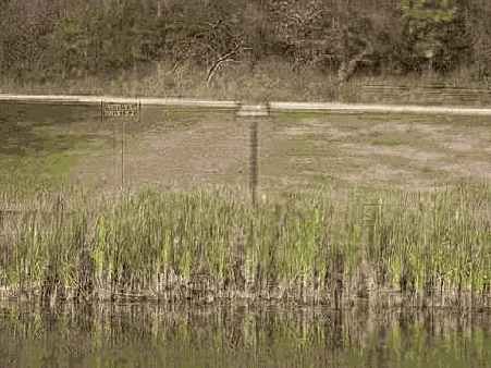 Благодаря этому намного проще сравнивать