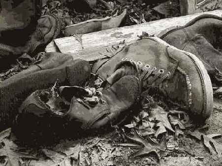 Отредактированное изображение