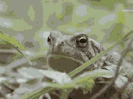 Теперь вы уже должны понимать,