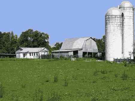 Отредактированное изображение