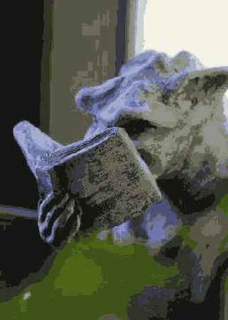 Фотография 6 4