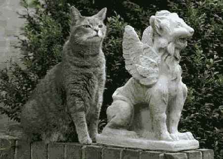 Если посмотреть на эту фотографию