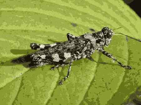 Фотография 6 6