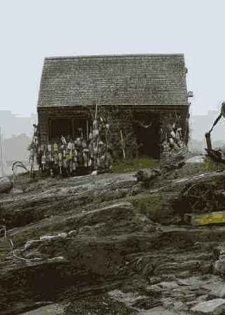 Фотография 7 4