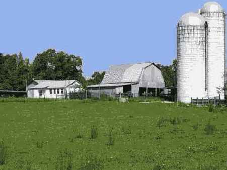 Отредактированное изображение