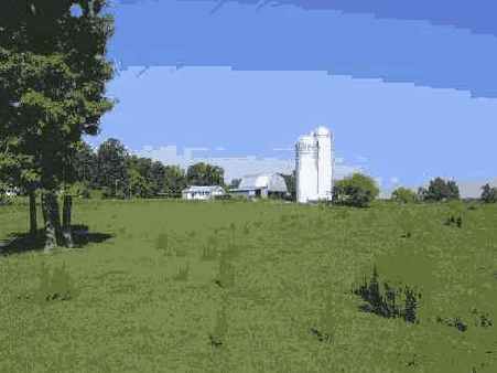 Фотография 8 3