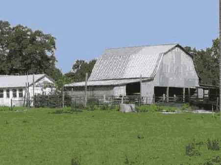 Фотография 8 5