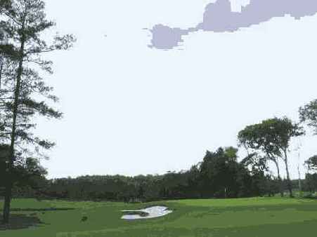 Фотография 9 6